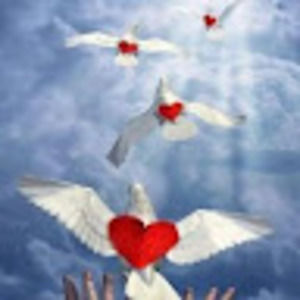 Meet your Posher, Iris